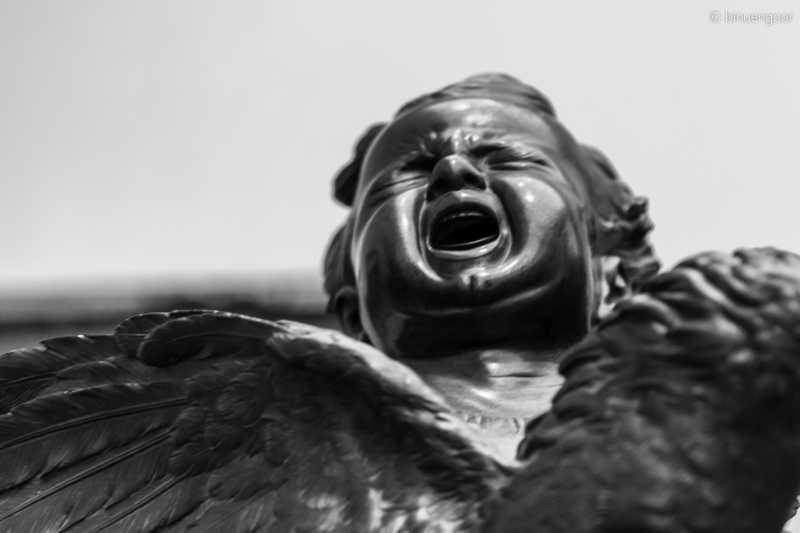 Existential Questions For Dwellers Of A Sexy World