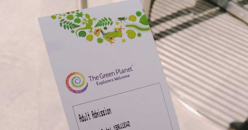 Exotic Flora & Fauna At Dubai Green Planet - A Happiness Rich Place