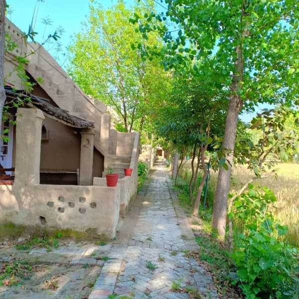 Experience Punjabiyat - The Essence Of Punjab In 4 Days