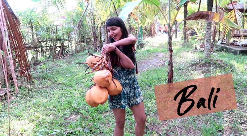 Experienced Organic Farming In Bali & Hidden Gems Of West Bali