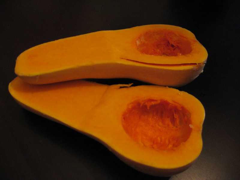 Experiments With Butternut Squash
