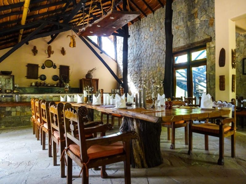 Explore Kanha National Park With Kanha Earth Lodge