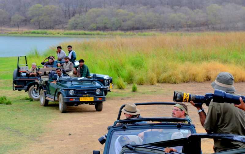 Explore,Wander,Travel....Responsibly.