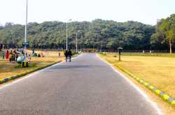 Exploring Acharya Jagadish Chandra Bose Botanic Garden by Oursamyatra