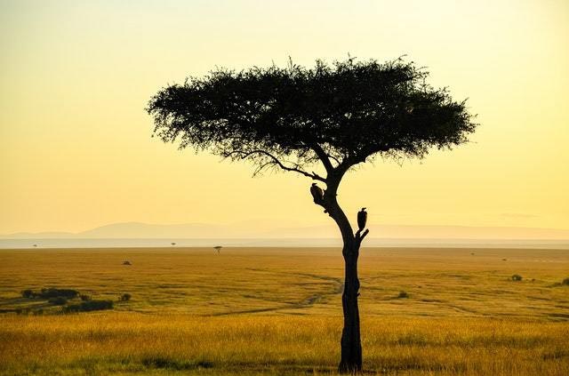 Exploring Africa: Where To Start