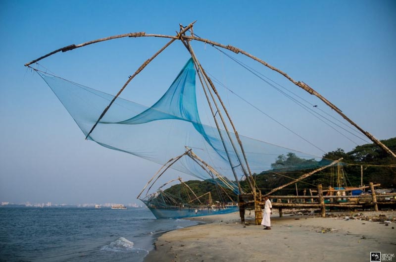 Exploring Fort Kochi In A Day | Shadows Galore