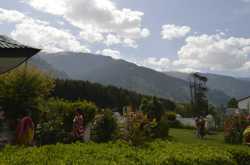 Exploring Himachal - Trip to Manali Part - II