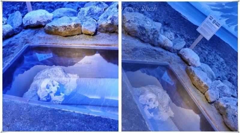 Exploring The Macabre And Fascinating Polar Museum In Tromsø, Norway