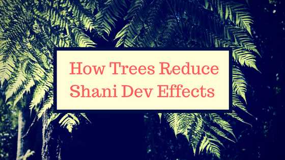 Expose How To - जानिए हिंदी में | Life Style | Health & Wellness | Home Remedies: होगी धन की वर्षा, जब होगा शनि देव का प्रकोप कम- जानिए कैसे?