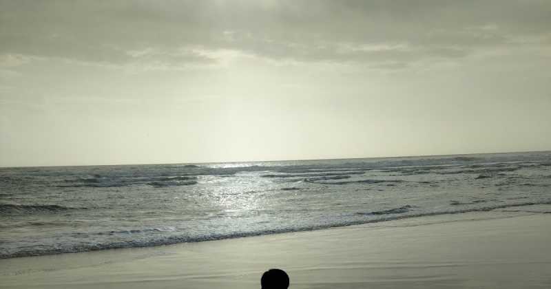 Extracts From The Paid News Report