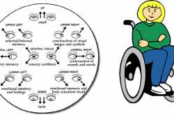 eye directive wheelchair