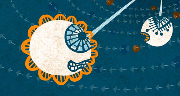 Eye-ball Planets: The Search For Neighbours