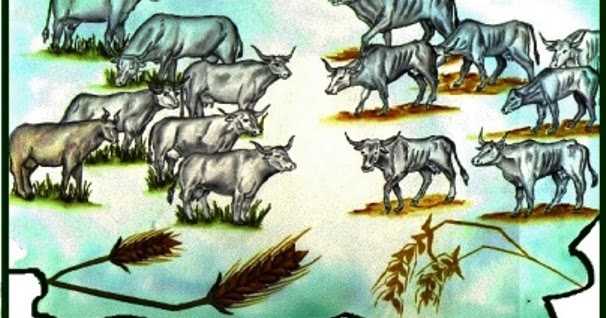 FINANCIAL LESSON FROM THE PHARAOH