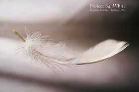 FLOAT : A NEW EXPERIENCE