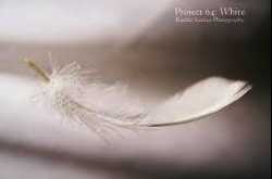 FLOAT : A NEW EXPERIENCE