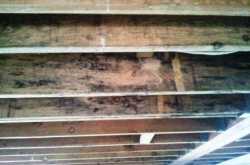 FLOOD DOCTORS SAN DIEGO CA ANNOUNCES “CRUCIAL STEPS TO PREVENT MOLD”