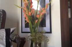 FLOWERS FOR A LONG WEEKEND