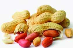 FOOD THAT IS HEALTHY AND HARMFUL(3)-PEANUTS