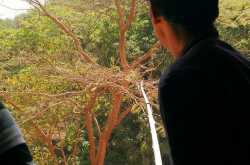 Faith in humanity , restored