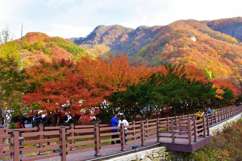 Fall Foliage Dates In South Korea 2018 - Sweet Sharing