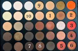 Fall/Winter Eyeshadow Looks with Morphe Palette