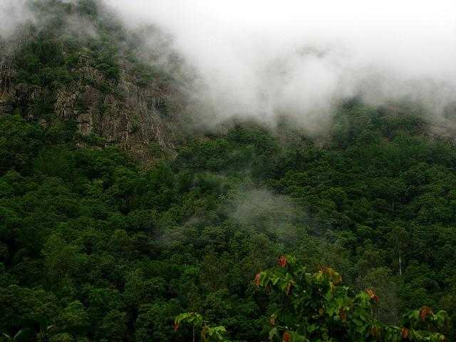 Falling For A Mighty Heart