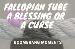 Fallopian Tube a Blessing or a Curse - Boomerang Moments