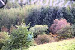 Family Vacation in the U.K., 11th October 2016, Day 12: Edinburgh to Loch Ness