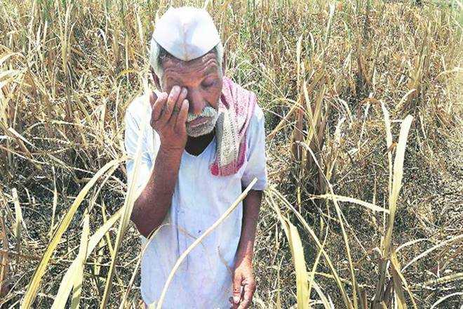Farm Loan Waivers: Is It Temporary Relief Or Permanent Burden? |