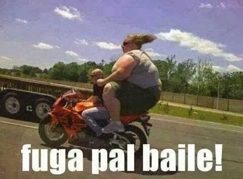 Fat Rider