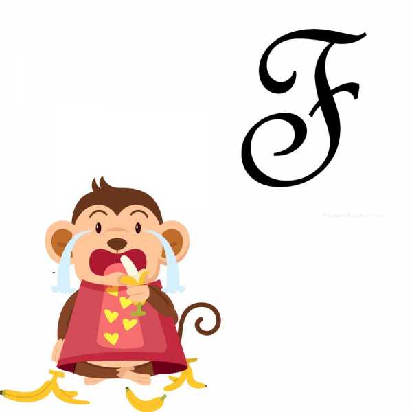 Fatty And The Flying Monkey