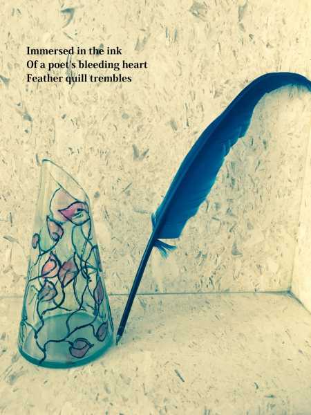 Feather Quill- Haiga