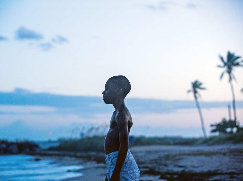 Feb 2017 – Films Watched And Rated