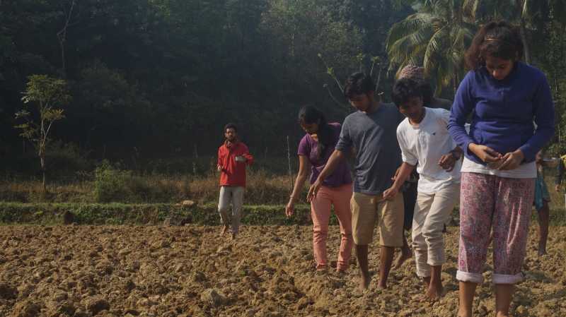 February Forest Route - Paathashala School