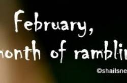 February Ramblings- Shopping woes