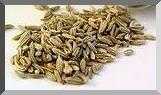 Fennel Seeds - à²¸à³à²à²ªà³
