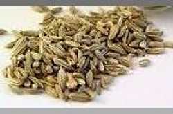 Fennel Seeds - à²¸à³à²à²ªà³