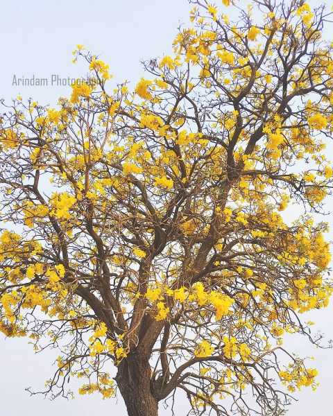 Few Words For All Perfect Women