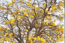 Few words for all Perfect Women