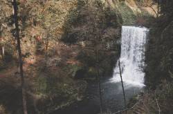 Field Notes: Silver Falls State Park, Oregon