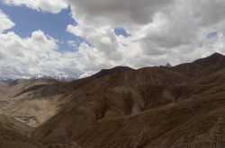 Fifty Shades of Yellow