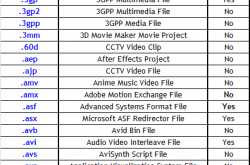 Filename Extensions used in VideoFiles