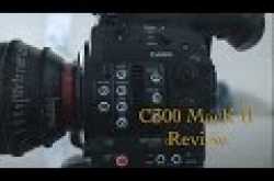 filming wildlife with canon cinema c300 mark ii