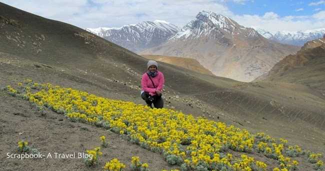Finally A Peek Into The Mighty Himalayas ... 