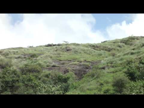 Finally Got My First Electric Flying