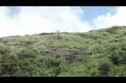 Finally got my first electric flying