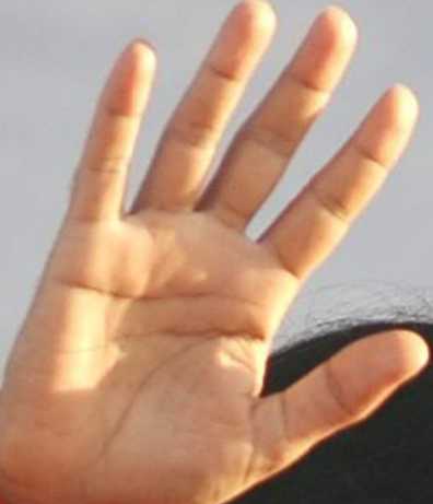 Find  Love In Your Palm