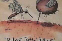 Find who am I     #WOW prompt 