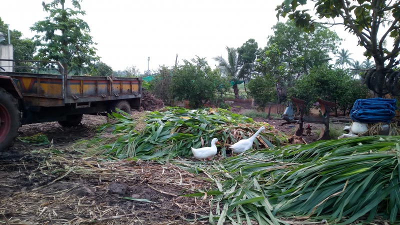 Finding A Home Away From Home…