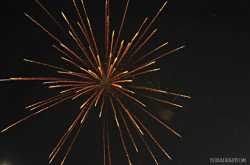 Fireworks in the sky!